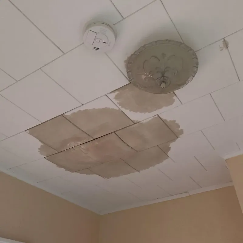 Ceiling Water Damage Repair in Plainville, CT