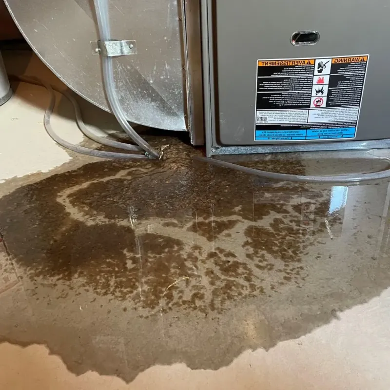 Pipe Burst and Leak Restoration in Plainville, CT