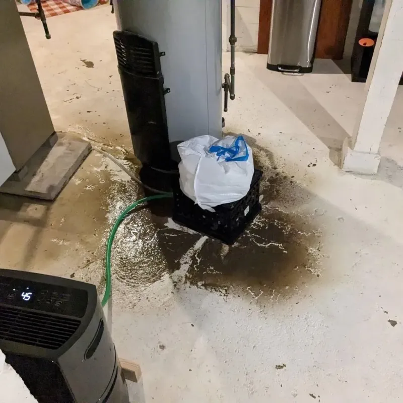 Sewage Backup Cleanup Service in Plainville, CT